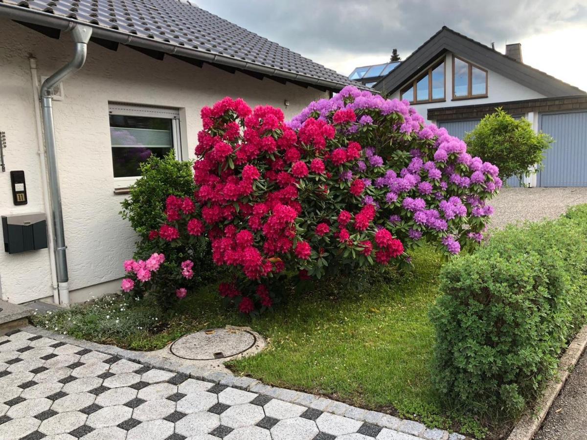 Apartamento Schwarzwaldhirsch Unterkirnach Exterior foto